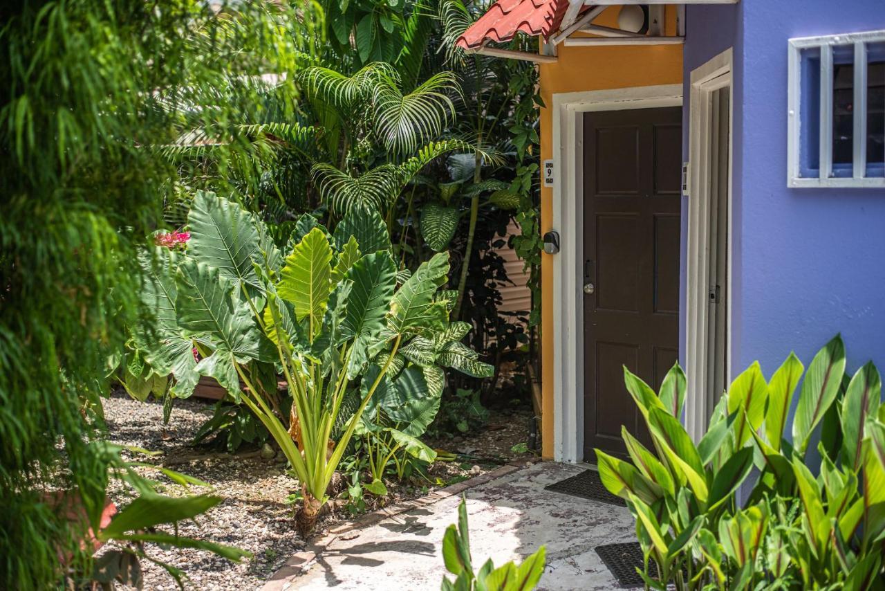 Jaco Lodge Quiet Place (Adults Only) Ngoại thất bức ảnh